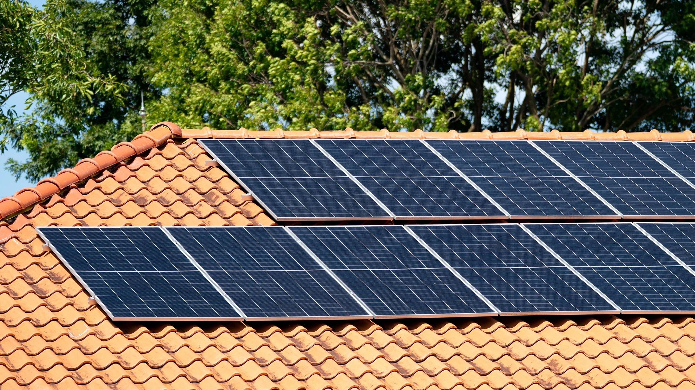 Scène extérieure résidentielle montrant plusieurs maisons en bois avec toitures équipées de panneaux solaires photovoltaïques